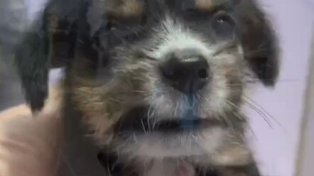 Bertemu denganmu, habislah setengah keberuntungan seumur hidupku.