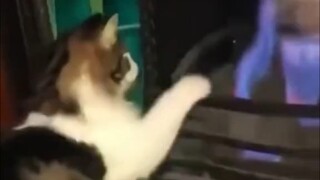 Huyền thoại Hakimi: Promikiha trộm lửa