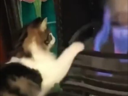 أسطورة هاكيمي: بروميكيا ها يسرق النار