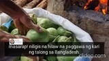 Roasted Eggplant Curry with Tagalog subtitle