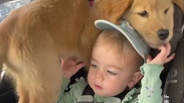 Unforgettable Proposal Scene 💍 | Love ‘em but can’t stand ‘em… hhh~ | When the Chicks Grow Up 🐔→🐓 | 