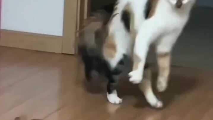 الحالة النفسية لحكيمي