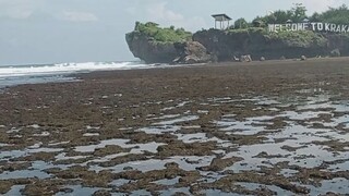 krakal