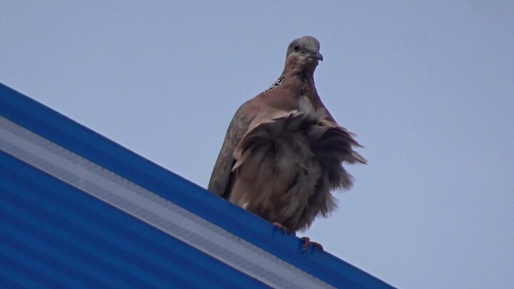 Wind: Let me take a look.