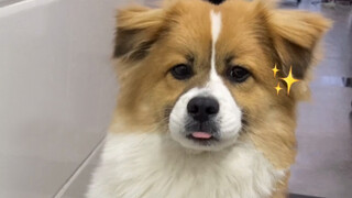 小时候干饭VS长大后干饭