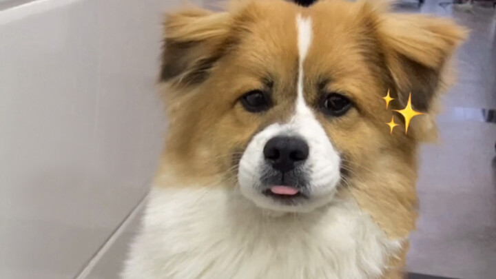 小时候干饭VS长大后干饭