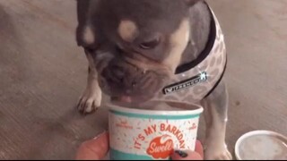 Buy Cocaine,mdma,Crystal Meth,DMT,LSD,METH In Canada WhatsApp +1 (909) 683 3845