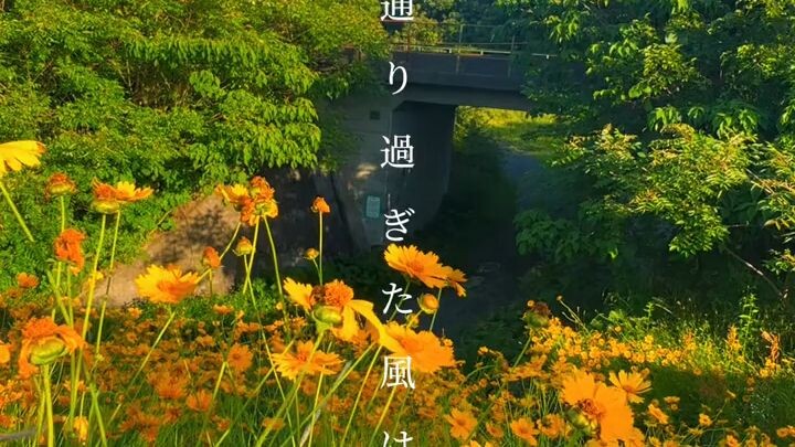 日本的美丽