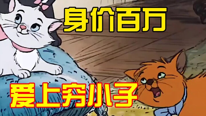 身价千万的贵族猫竟然爱上了流浪猫！