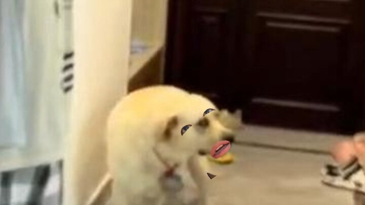 المرأة تُسبّب لي الإزعاج فقط.