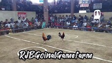 BOSTON WIN @ NAIC COCKPIT ARENA (05-05-24) #RJBGoinalGamefarm #TeamRJB