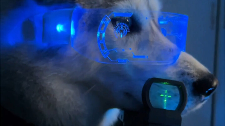 Biar aku kasih tahu satu rahasia: sebenarnya Misiu punya identitas lain.