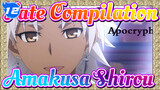 FATE|Amakusa Shirou Compilation_S12