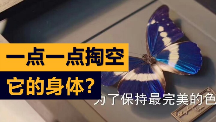 Hãy tưởng tượng, đừng nghĩ lung tung.