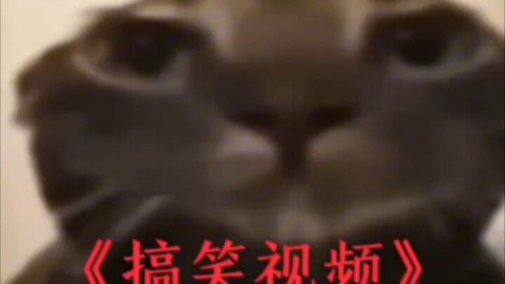今日份功德