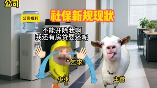 社保新规现状