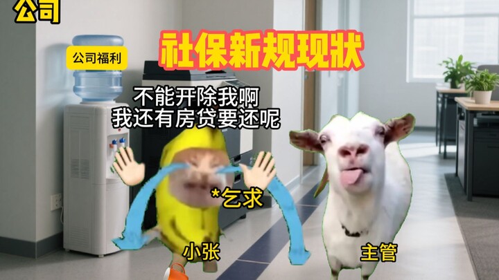 สถานะปัจจุบันของกฎระเบียบประกันสังคมใหม่