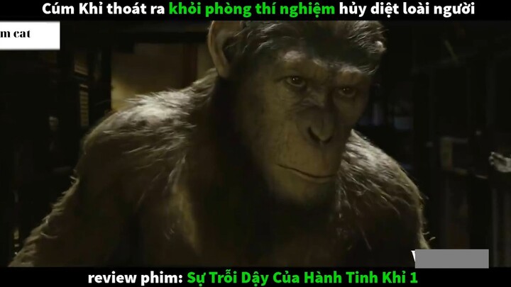 Tóm Tắt Đại Chiến Hành tinh King 3 #phimcat