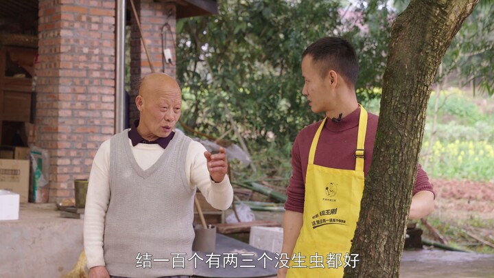 王刚一行人修整树木，院里满是欢声笑语，男人的快乐就是如此简单