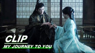 Gong Shangjue Bandages Shangguan Qian’s Wound | My Journey to You EP12 | 云之羽 | iQIYI