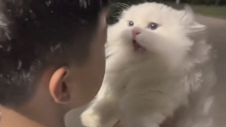 Hate humans who have no sense of boundaries