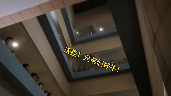 震惊了家人们