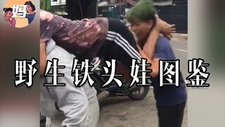 【野生人类图鉴】头铁的嘛不谈！
