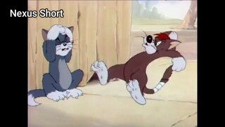 Tom & Jerry (Ep 9.2) Sufferin' Cats (phần 2) #TomandJerry