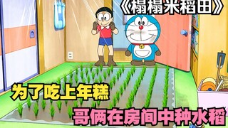 دورايمون: الحلقة الأكثر كلاسيكية، من أجل أكل كعك الأرز، قام الأخوين بالفعل بزراعة الأرز في الغرفة