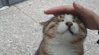 好乖的消茂密！！