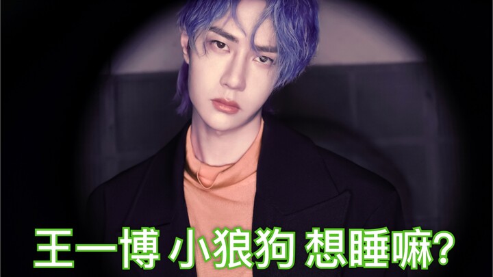 【Wang Yibo】Anjing serigala kecil yang penuh gairah, mau tidur nggak…