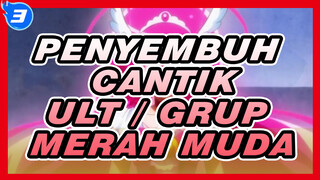 Penyembuh Cantik | ULT dari Grup Merah Muda_3