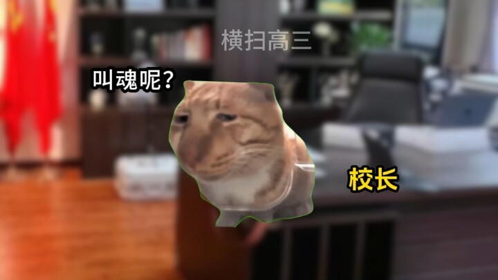 The Year I Finally Got It in Senior High School 4