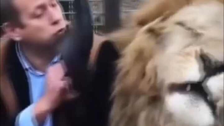 Haki Biology's Dancing Lion