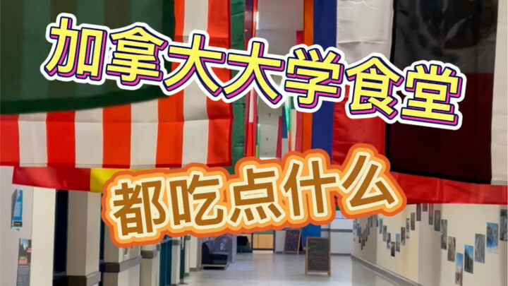 وجبات الجامعة في كندا رخيصة جدًا، وما تأكله يعتمد على مزاج الطاهي، والطعم حقًا خمسين خمسين.