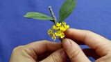 [DIY]Làm hoa mộc tê bằng giấy lụa