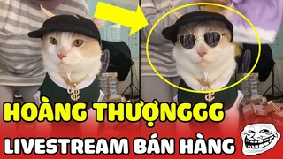 Xỉu lên xỉu xuống với vẻ đẹp của HOÀNG THƯỢNG khi livestream bán hàng 😂 | Yêu Lu