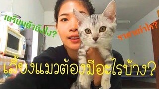 Cats Story เริ่มเลี้ยงแมวต้องทำยังไง ต้องมีอุปกรณ์อะไรบ้าง FANGFUU