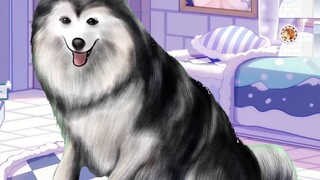 [Xue Husang] Apa yang terjadi setelah saya menginstal game di drive C: Saya tidak bisa masuk ke dala
