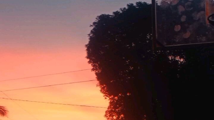 Sunlight