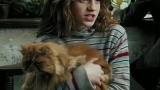 Bồ thích ai nhất ? Còn mình, mình thích Harry Potter nhất vì bạn ấy dũng cảm