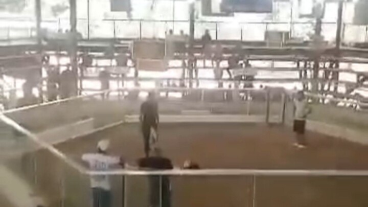 sbr win at taytay
