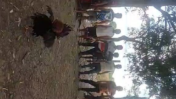 April 17..inde napalaban sa NCA..nangayaw..hatch..ikalawang panalo na..tupada nga lang sa pangalawa