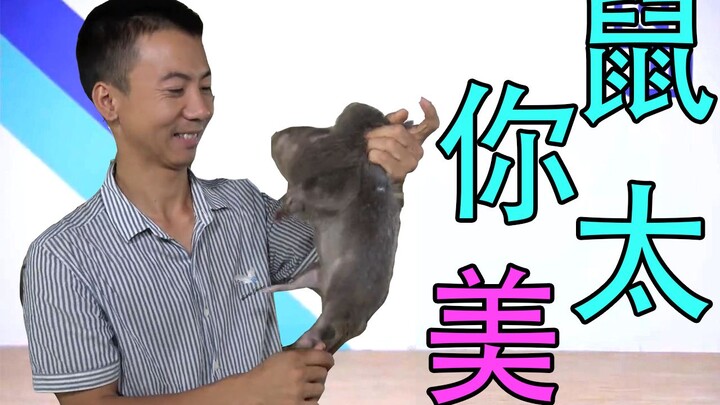 【华农兄弟】竹鼠你太美