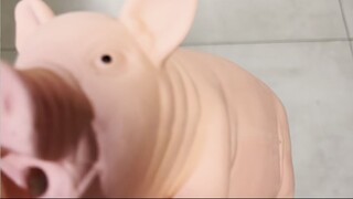 会叫的猪 / a squeaky pig