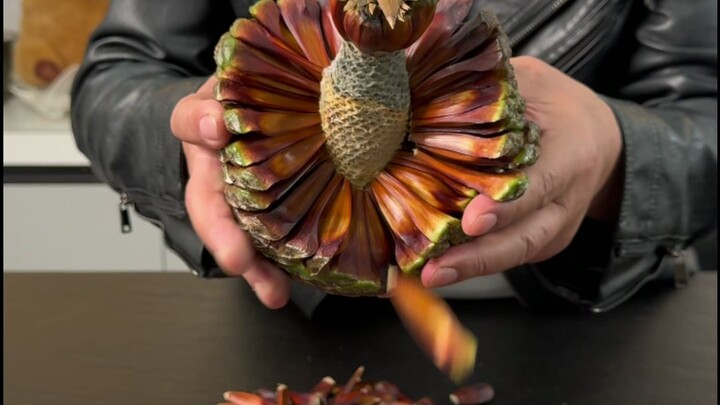 It is said that out of hundreds of millions of people, only 50 have ever tasted this kind of pine nu