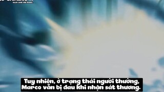 Top 7 Trái Zoan Mạnh Nhất One Piece p6