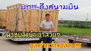 บุก!!!! สนามบินพาชมขั้นตอนวัวนำเข้าจากอเมริกา เมื่อถึงไทย