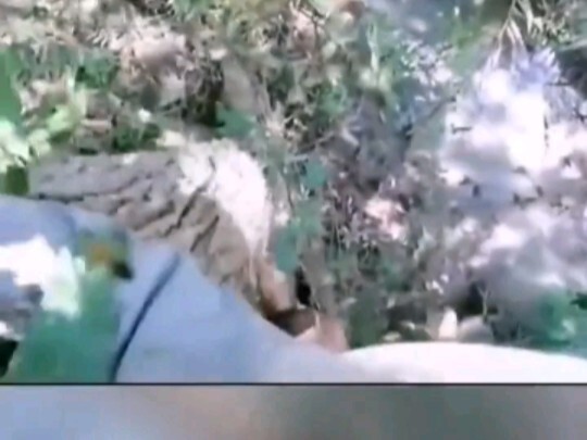 Phật Chủ: Đau không? Đau vậy sao không buông tay?