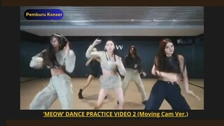 Meow Dance Practice Video 2